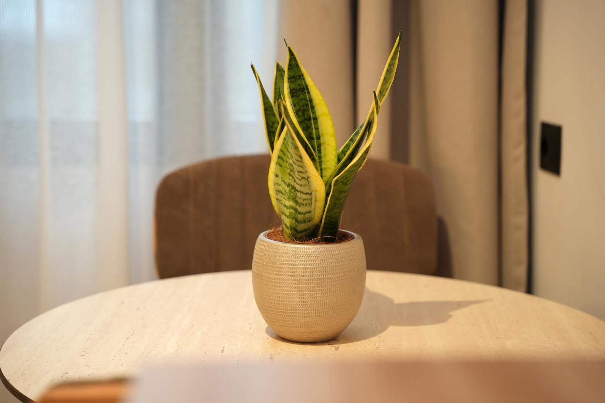 Apartment Nea Deluxe